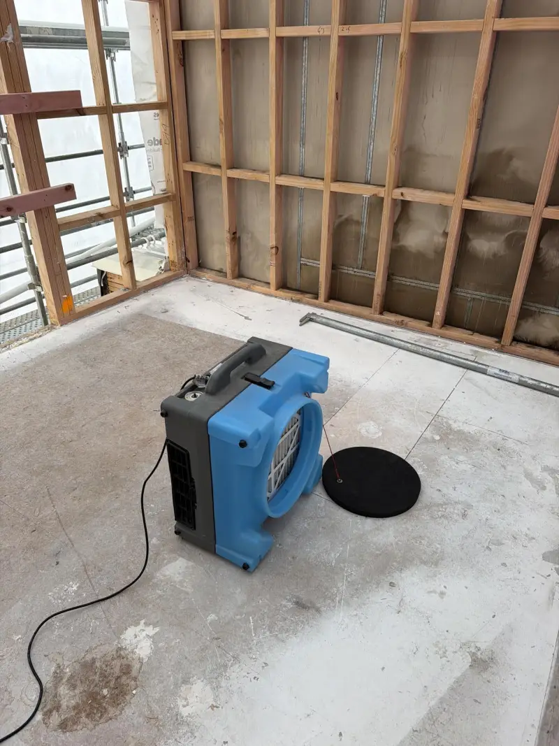 Real Auckland restoration work