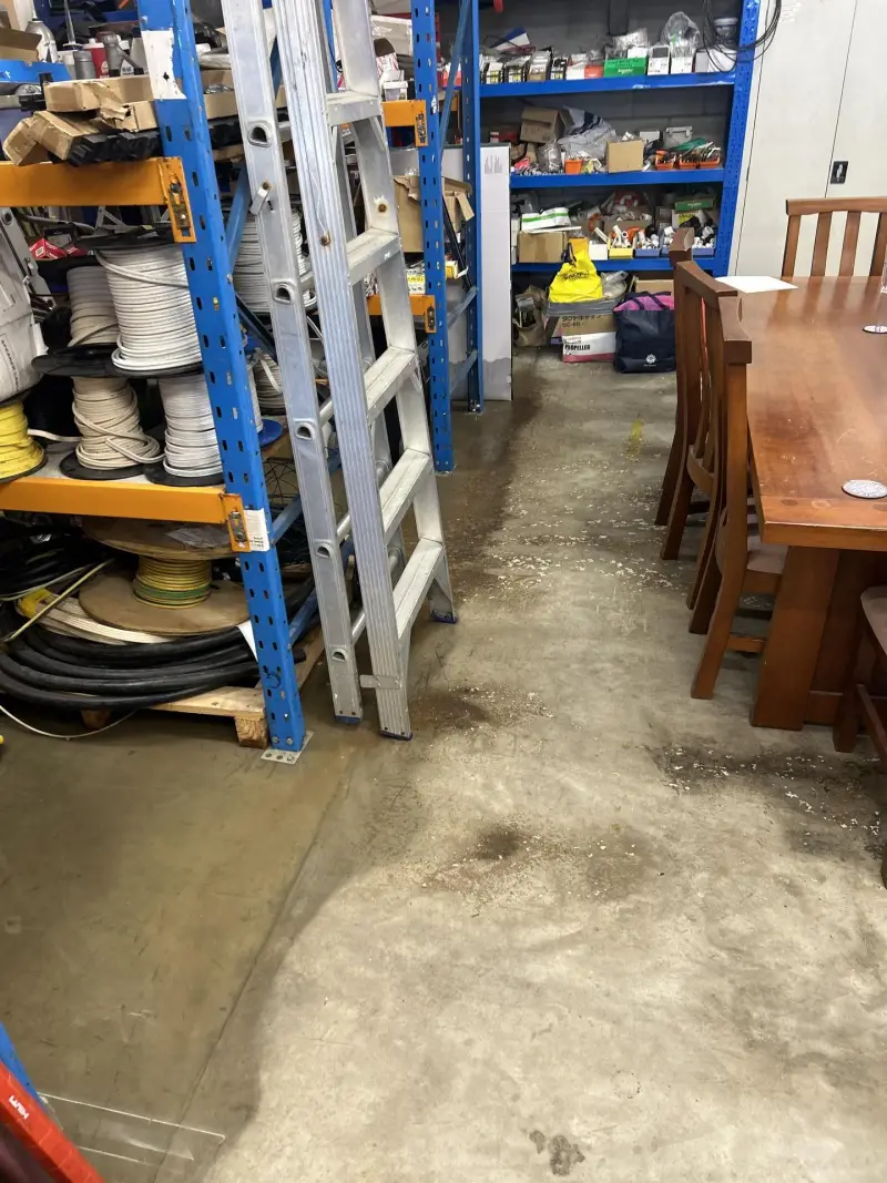 Real biohazard restoration project documentation in Auckland